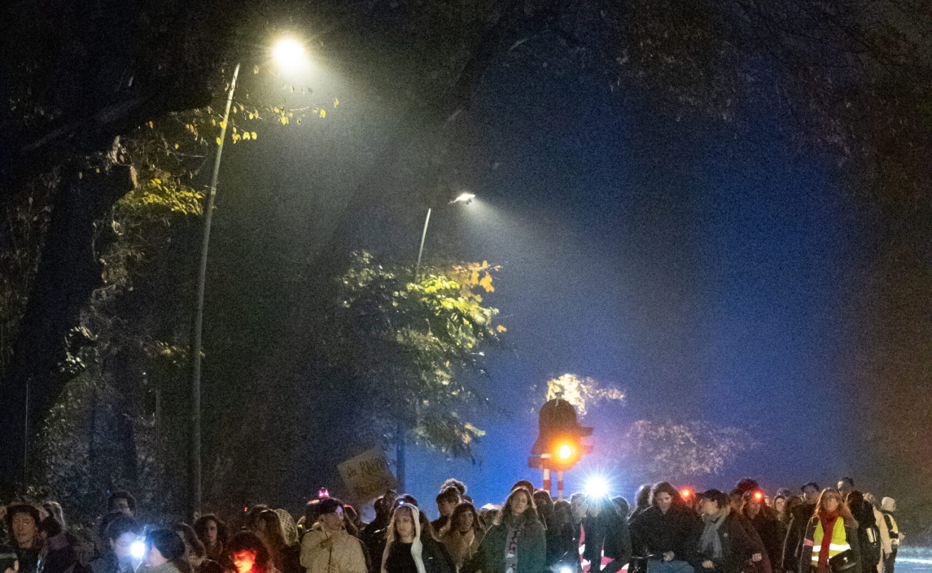 20251115_marche_nocture-10