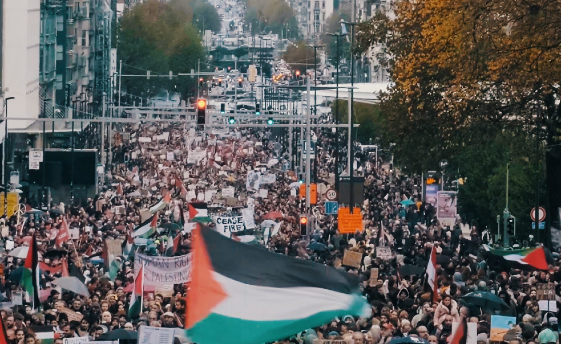 DSCF0093.00_00_06_20.Still002